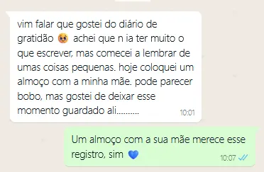 Mensagem sobre o diário de gratidão e resposta do suporte